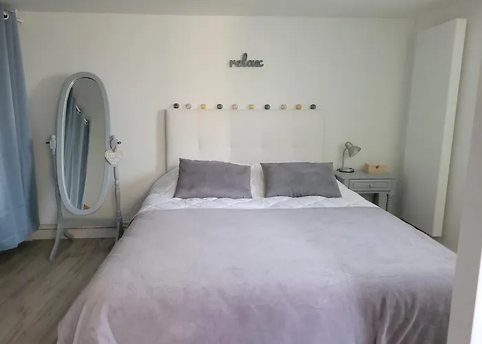 Apartment 200 M Avec Terrasse Et Jardin Royan